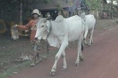 Oameni din Cambodia00127