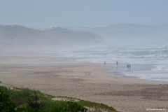 GardenRoute00240