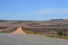 GardenRoute00259