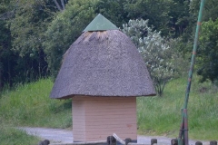 AfricaS00705