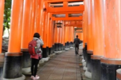 Templul Fushimi-Inari