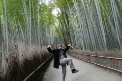 Zona Arashiyama