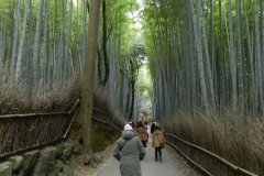 Zona Arashiyama