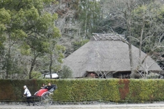 Zona Arashiyama
