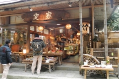 Zona Arashiyama