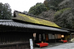 Zona Arashiyama