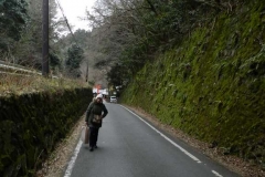 Zona Arashiyama