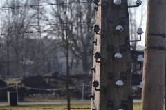 Polonia00200