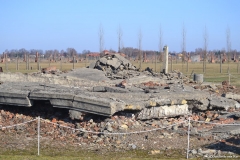 Polonia00206