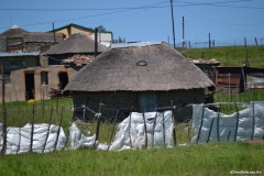 AfricaS00590
