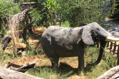 BotswanaI00138
