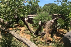 BotswanaI00139