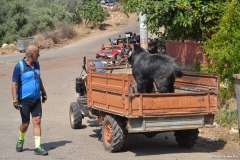 Turkiye00369
