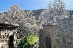 FikardouLazanias00191