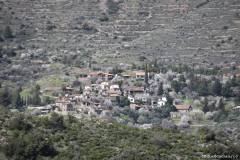 FikardouLazanias00341