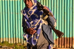 simien497