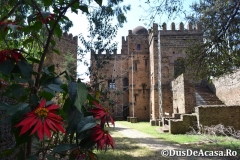 Gondar00167