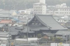 Templu japonez