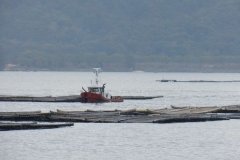 Miyajima