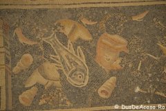 Iordania00658