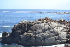 Cape-Town00171
