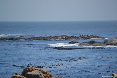 Cape-Town00174