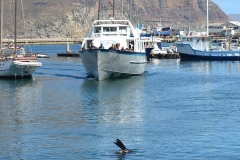 Cape-Town00189