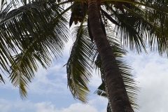 Tanzania300182