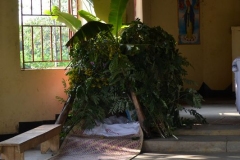 elephanthome1040