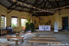 elephanthome1041
