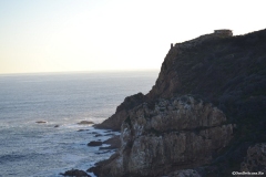 GardenRoute00209