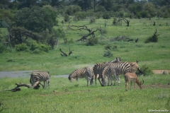 AfricaS00143