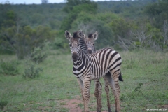 AfricaS00765