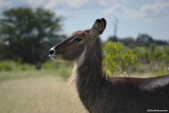 AfricaS00298