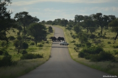 AfricaS00397