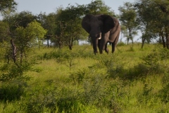AfricaS00405
