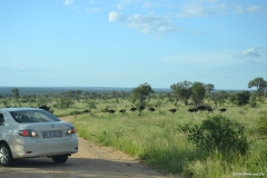 AfricaS00413