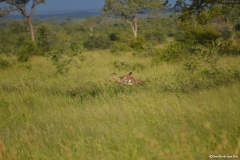 AfricaS00423