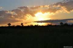 AfricaS00433