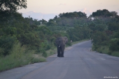 AfricaS00434