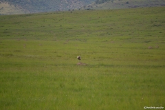 AfricaS00124