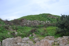 Malta00671