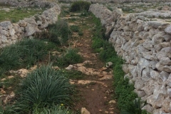 MaltaIpad00189