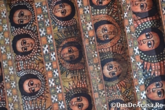 Gondar00253