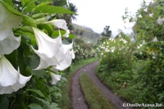 FortPortal00279