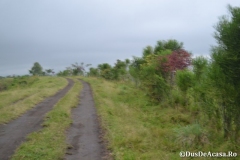 FortPortal00319