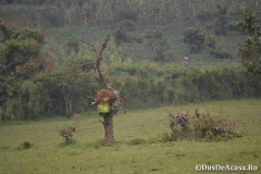 FortPortal00322