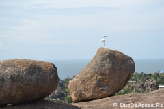 mwanza143