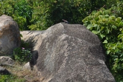 mwanza176