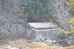 Turkiye00443